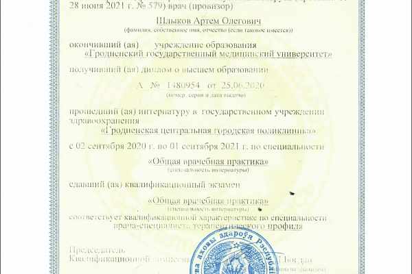 Шлыков Артем Олегович
