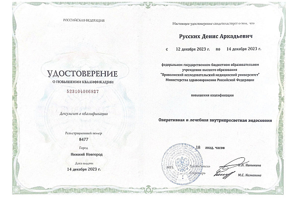 Русских Денис Аркадьевич